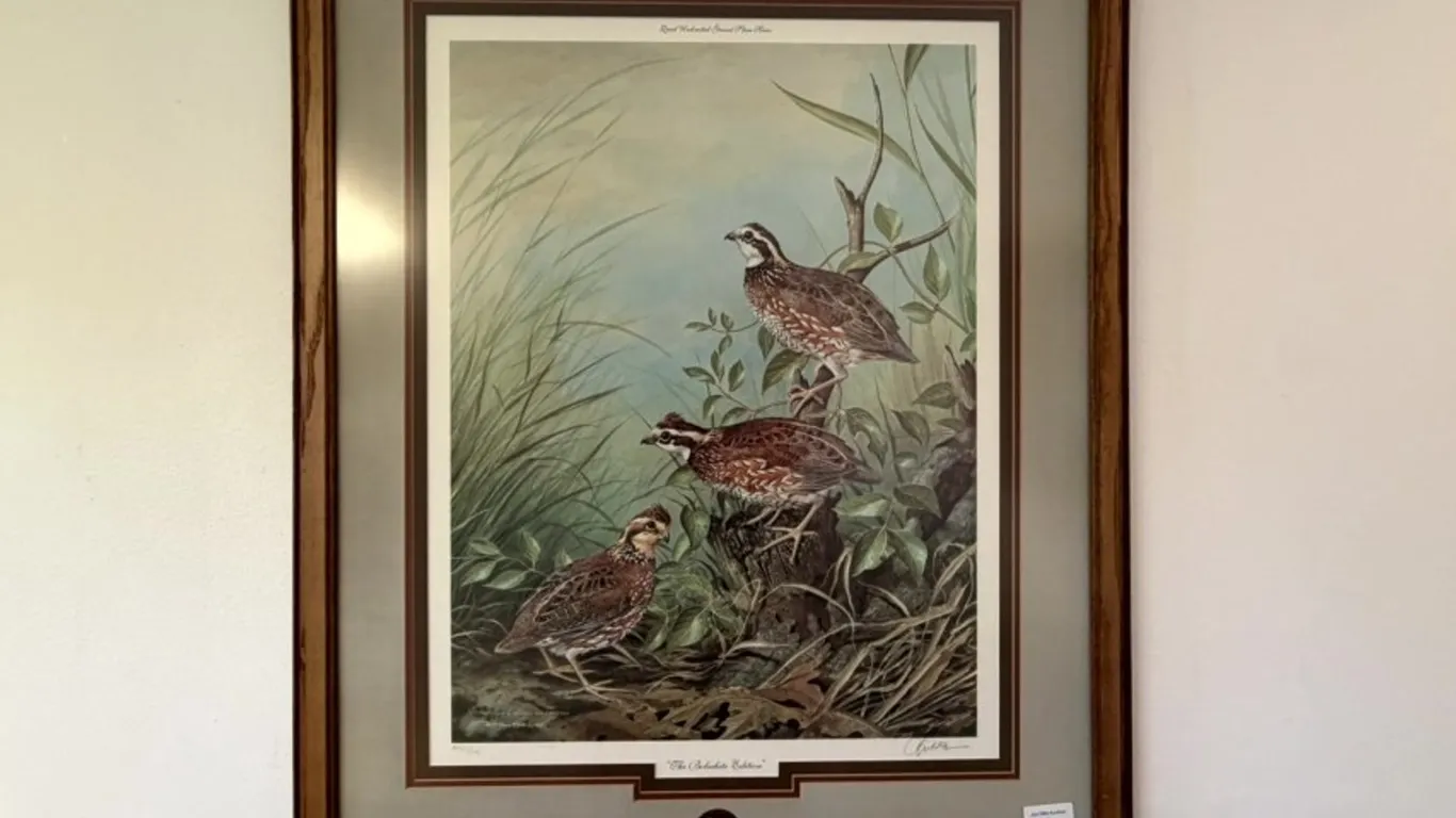 Framed Quail Unlimited The Bobwhite Edition Art Print with Commemorative Coin