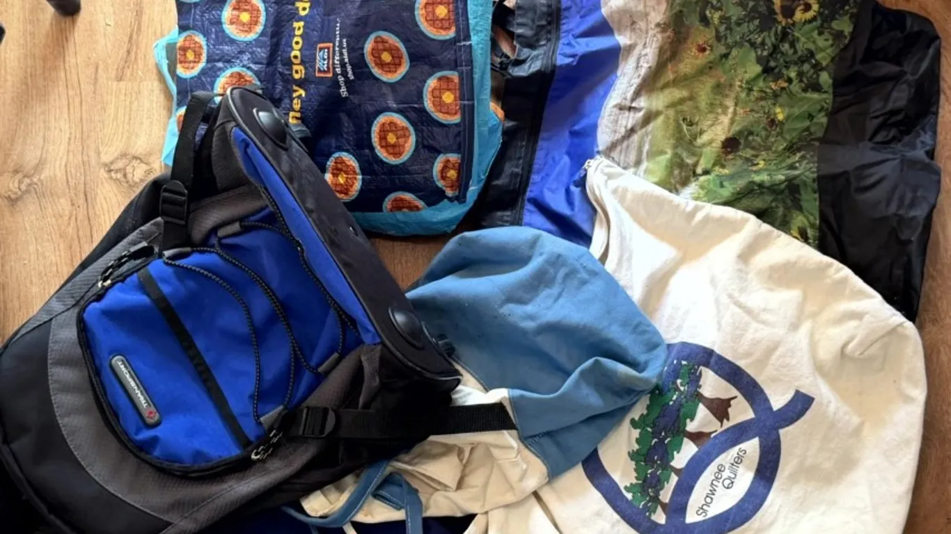 Assorted Bags, Backpacks, Fabric Organizer, and Plastic Laundry Basket
