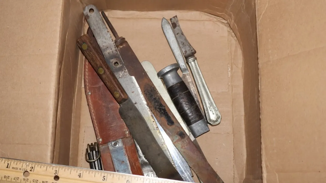 Assorted Knives, Blades, and Sheath