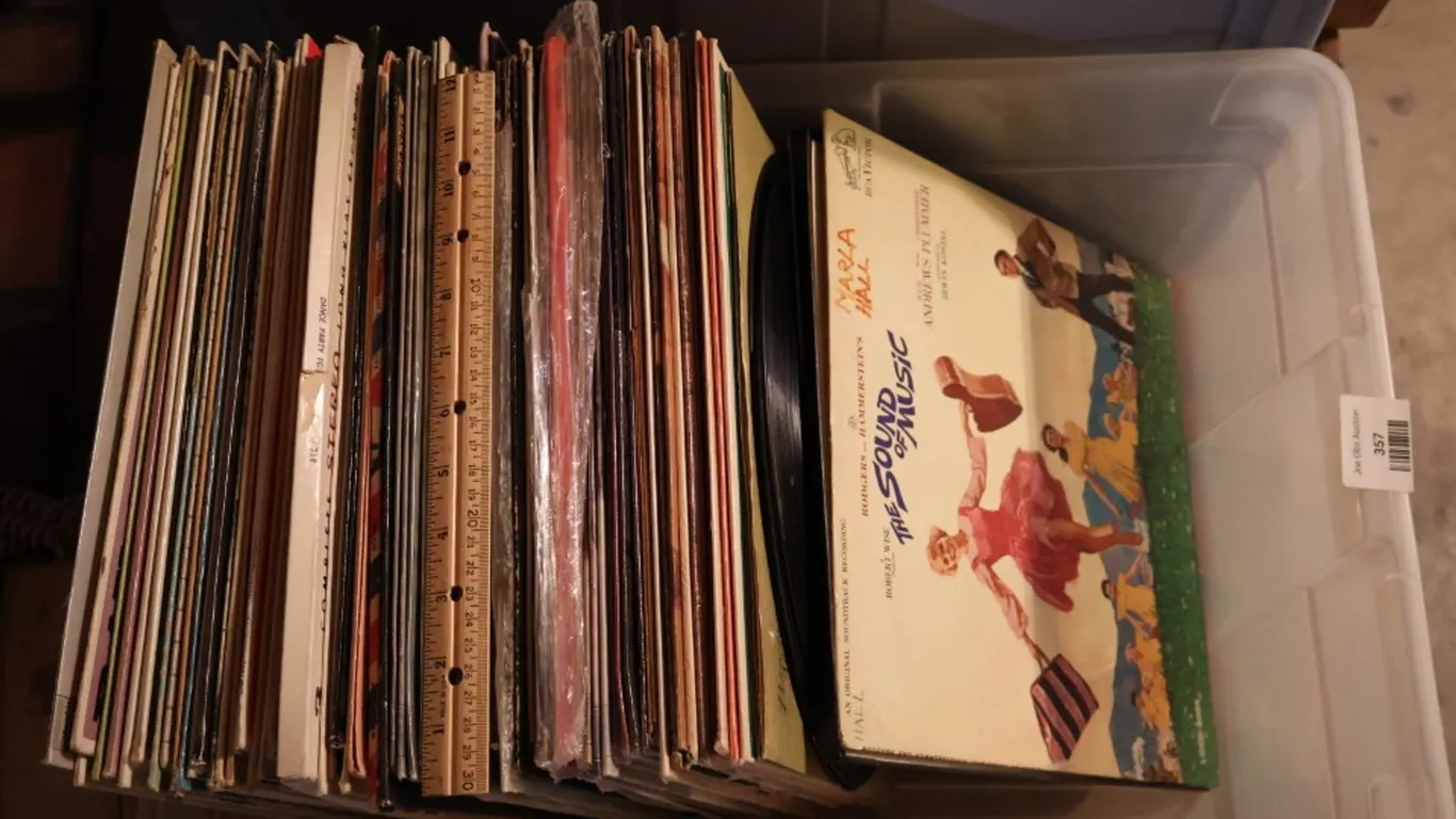 Assorted 12 Inch Vinyl LP Records