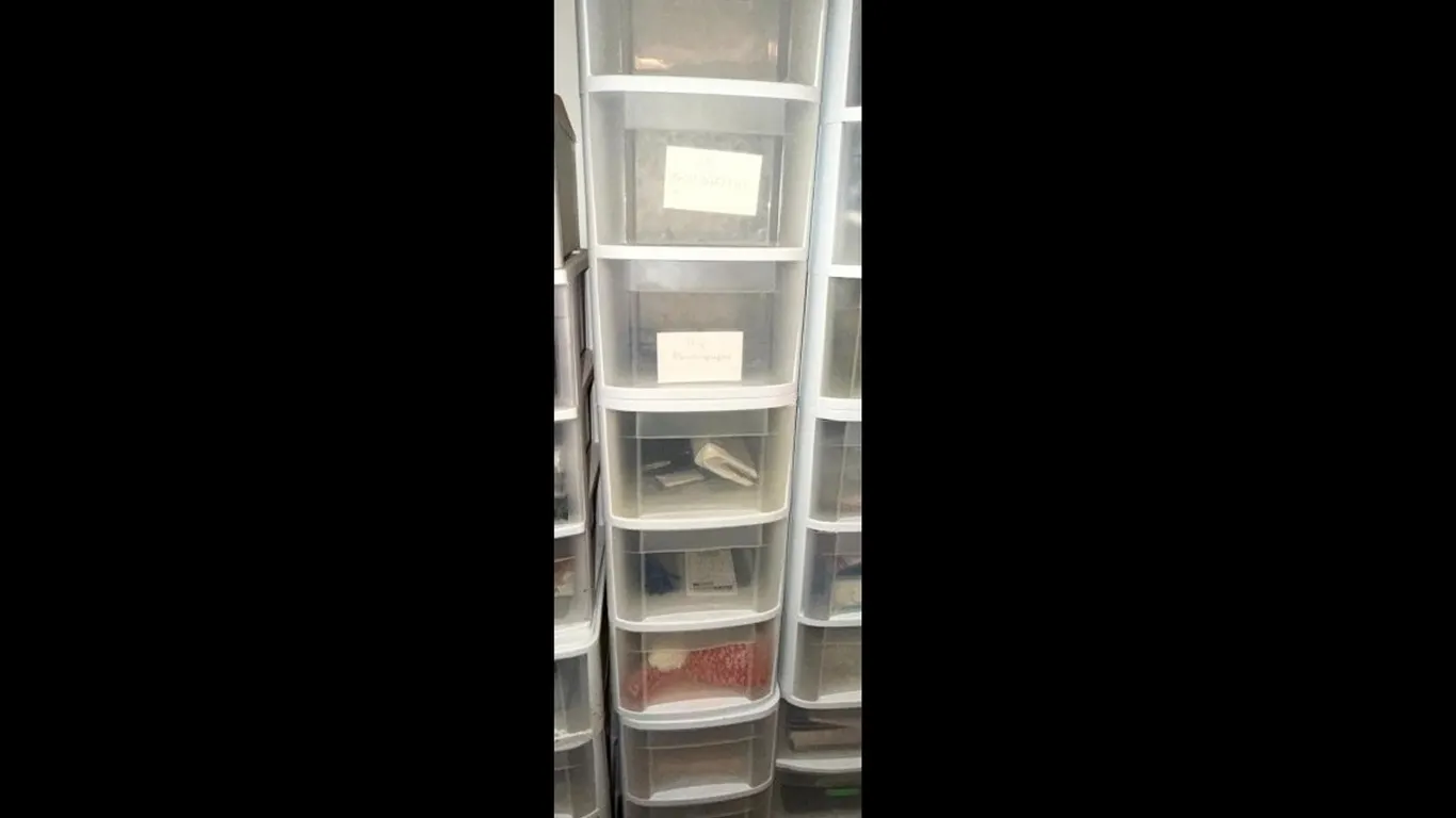 Plastic Storage Drawer Totes with Assorted Sewing Notions, Craft Supplies, Books, and Household Items