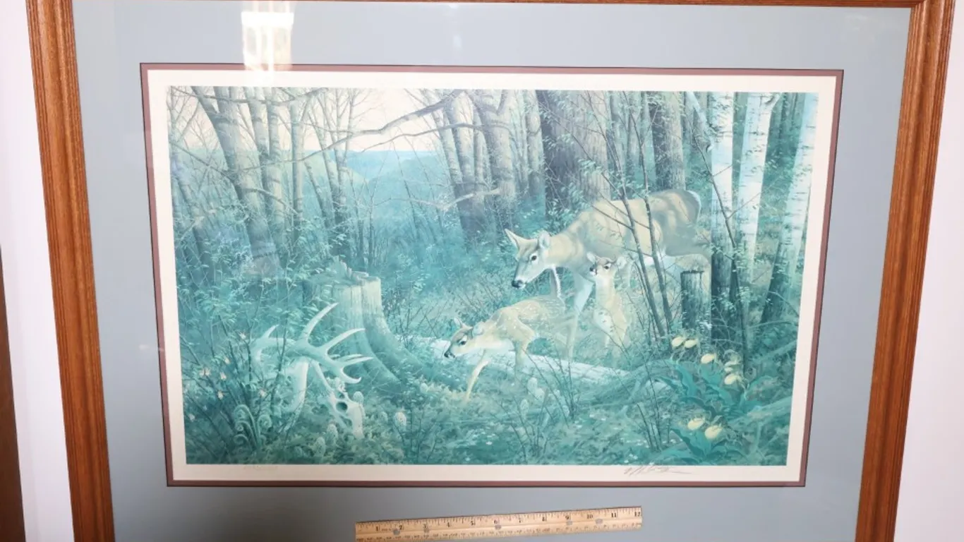 Michael Sieve Framed Wildlife Art Print, Oak Ridge Renewal - Whitetail Deer