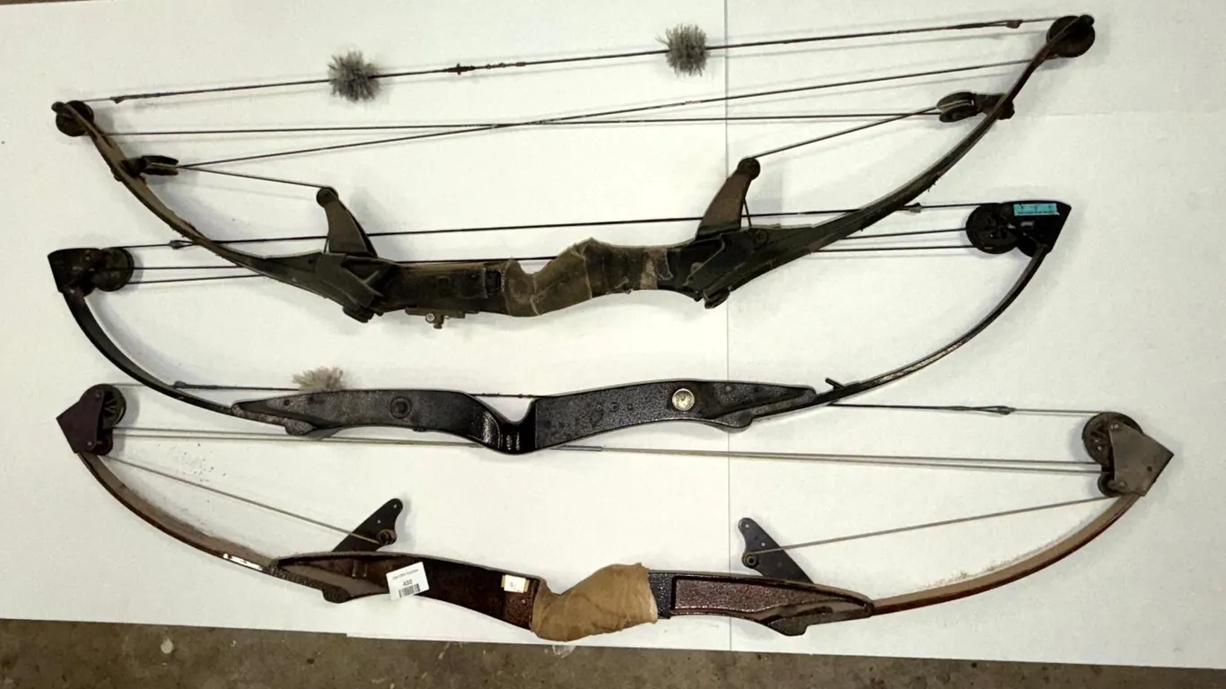Three Compound Bows Including Bear Whitetail Hunter and Bear Black Bear II