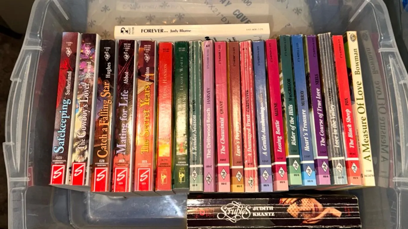 Twenty-Two Assorted Paperback Romance Novels