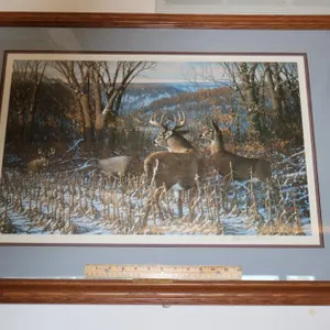 Michael Sieve Framed Wildlife Art Print, "Oak Ridge Challenge - Whitetail Deer", Pencil Signed