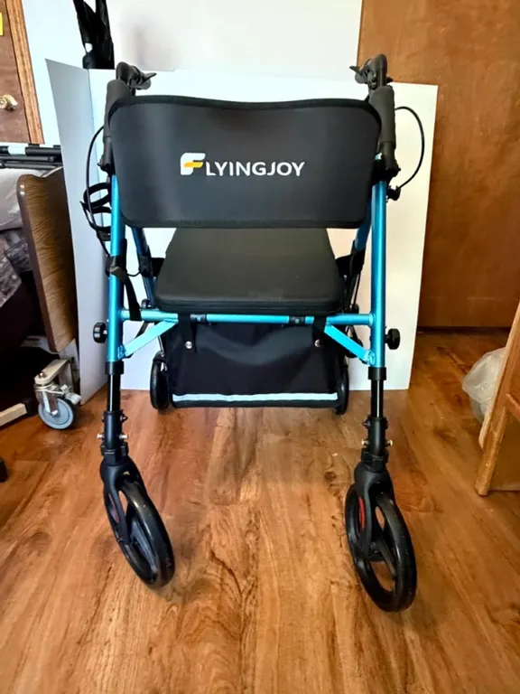 FLYINGJOY 2-in-1 Rollator and Transport Chair, Metallic Blue