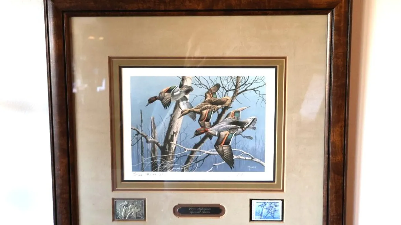 David A. Maass Framed 1983 Arkansas Special Series Duck Stamp Print