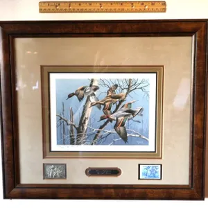 David A. Maass Framed 1983 Arkansas Special Series Duck Stamp Print