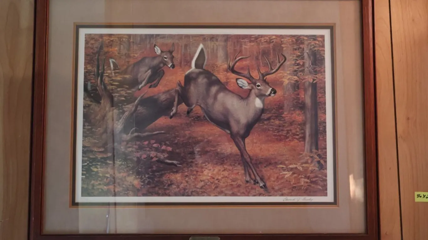 Edward J. Bierly Framed Wildlife Art Print, "Flags Up"