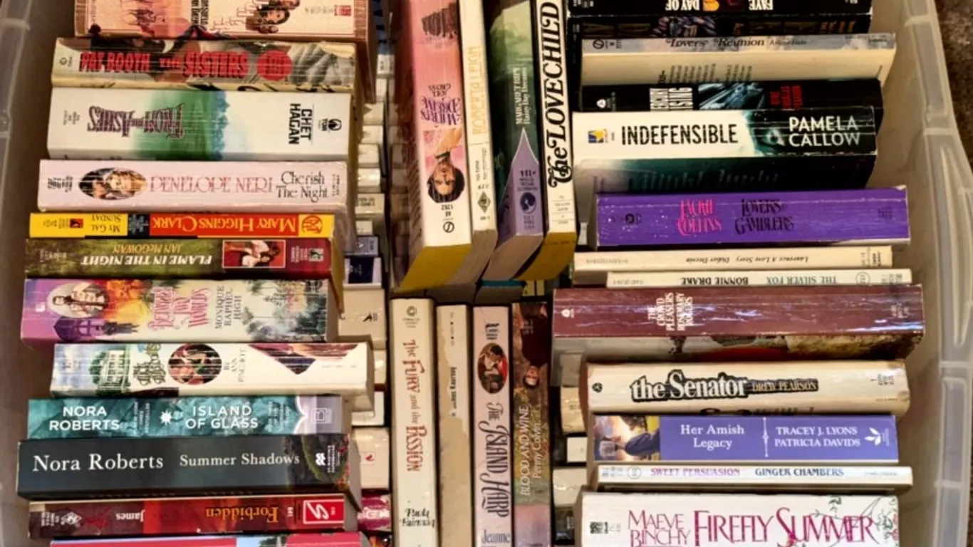Assorted Paperback Fiction and Romance Books