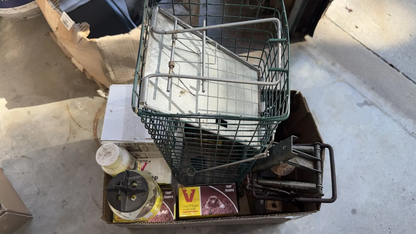 Wire Live Animal Cage Trap and Victor Out O' Sight Mole Traps, and More