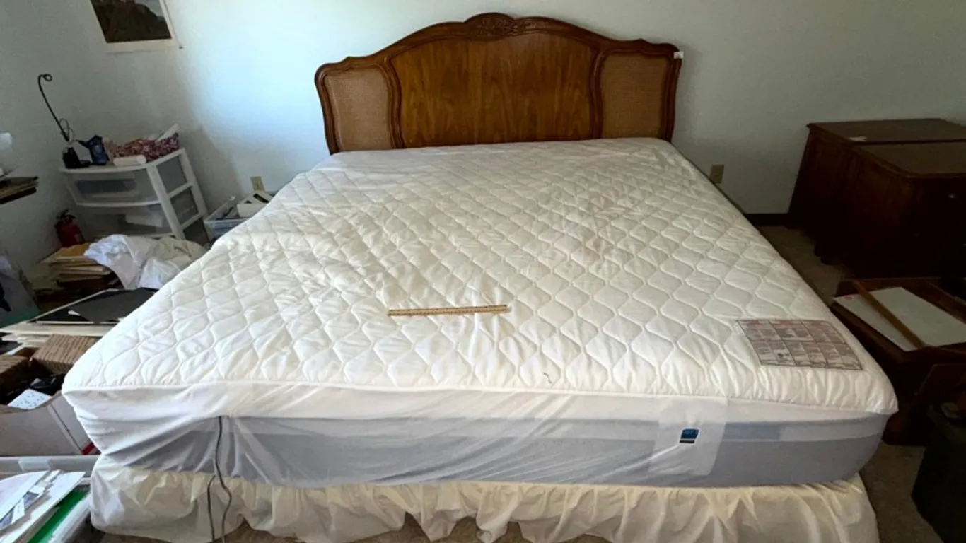 Carved Wood and Cane Headboard and Metal Bed Frame