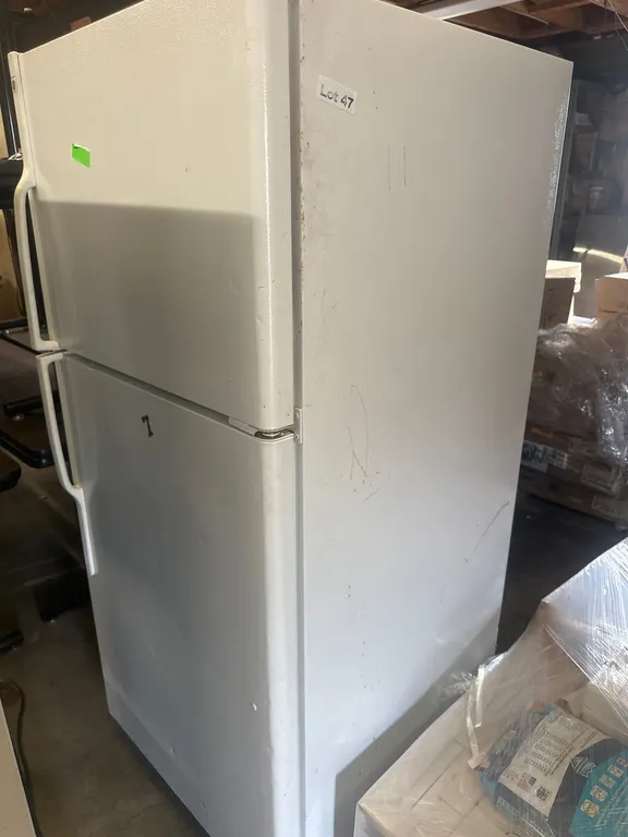 GE Fridge and Freezer