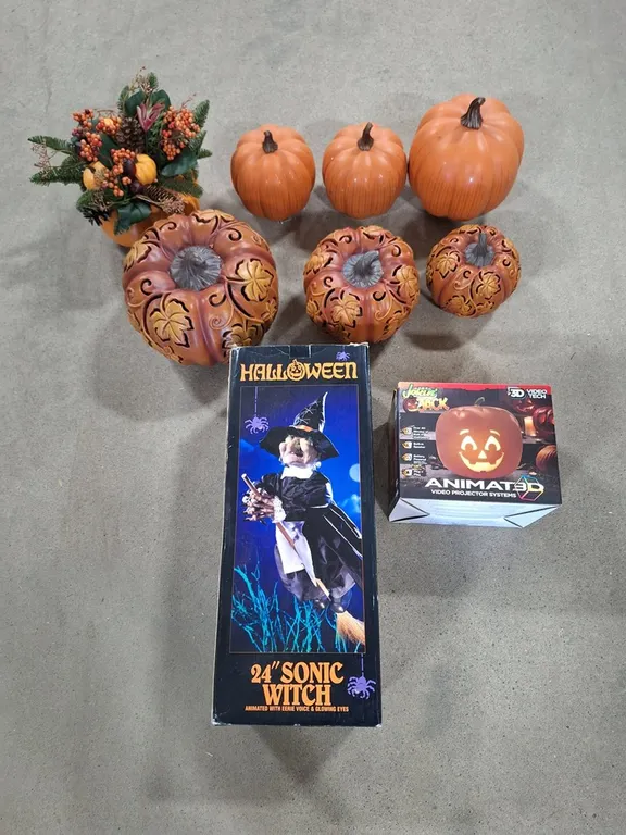 Animated Video Projector System, Halloween 24" Sonic Witch, More