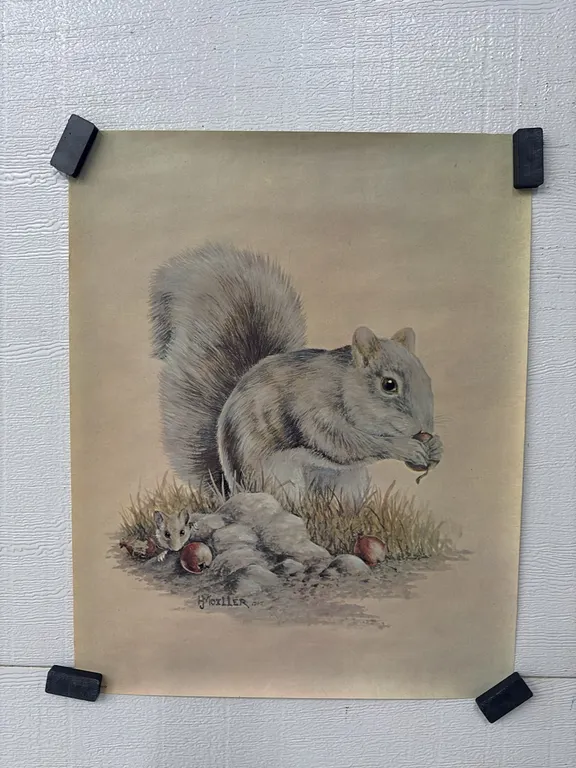 POSTERS WILD LIFE