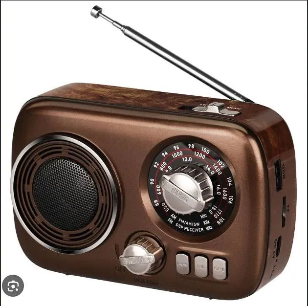 Gelielim RX-1500BT Portable Radio Bluetooth