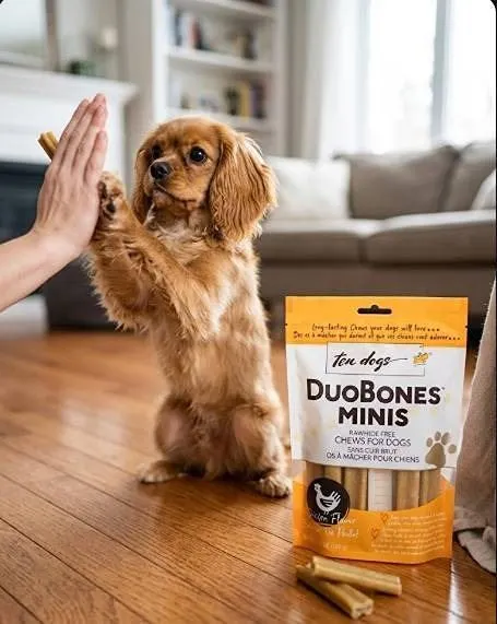 TenDogs DuoBones Minis Dog Chews Chicken 100g