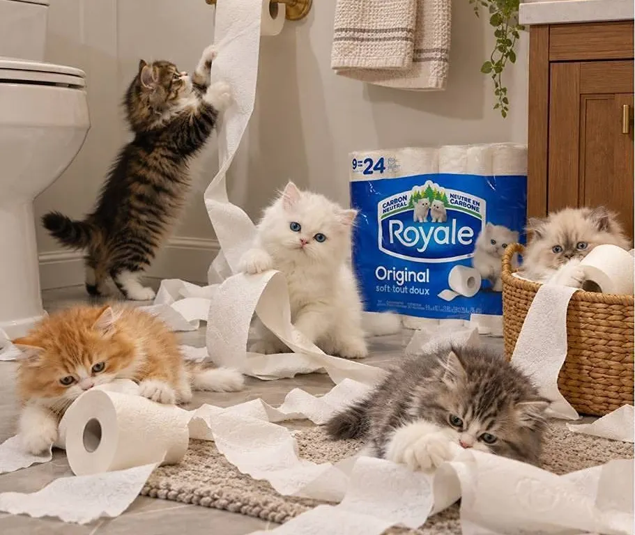 Royale Original 2-Ply Bathroom Tissue 9 Rolls