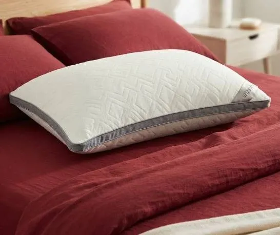 Ariza Sleep Bamboo Comfort Queen Pillow