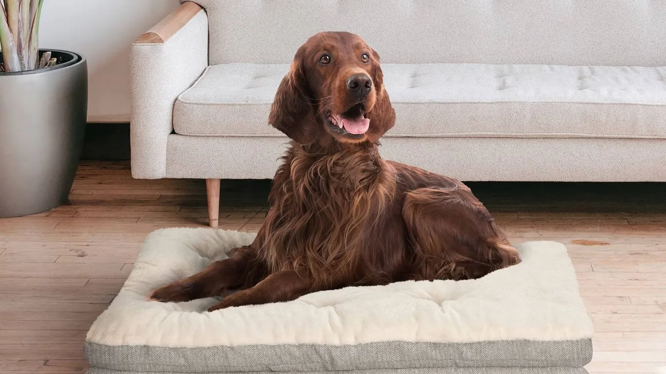 Plush Rectangular Tufted Pet Bed Cream