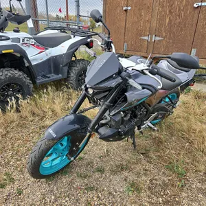 2024  Yamaha  MT-03
