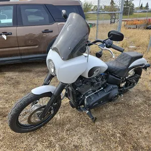 2021  Harley-Davidson  Softail
