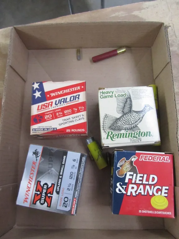 Lot Of Assorted 20ga Rounds