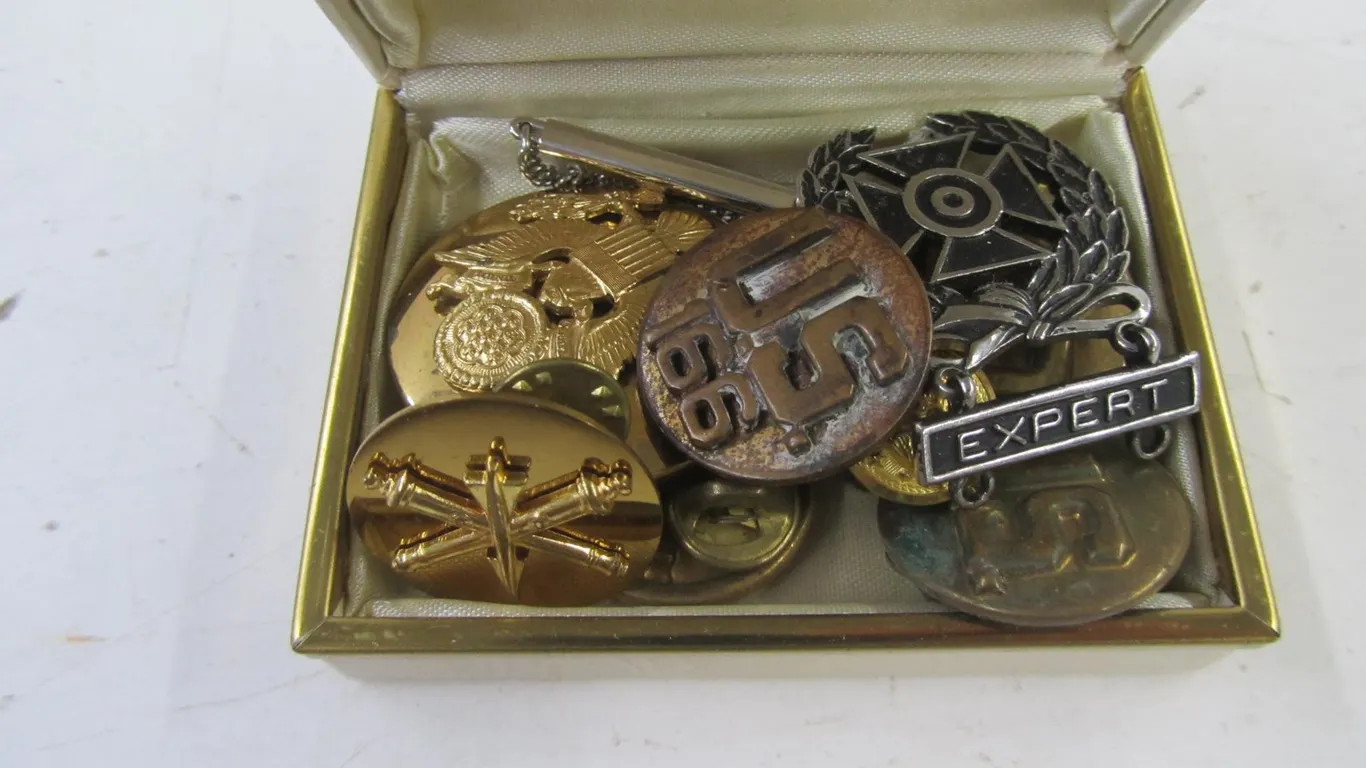 Lot Of Assorted Military Pins