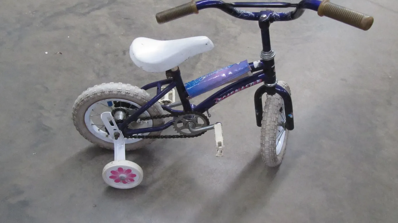 Roadmaster Butterfly Summer Kids Bike w/Training Wheels