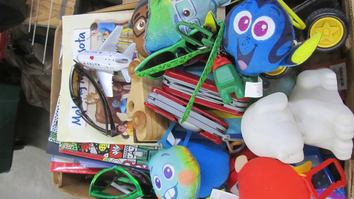 Flat Of Assorted Toys, Coloring Books, And Kid's Books