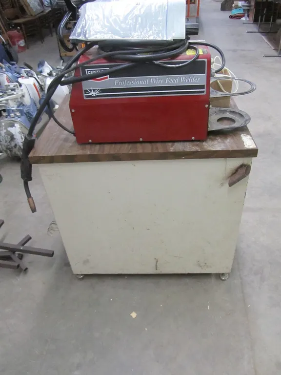 Century Professional Wire Feed Welder w/Welding Cart