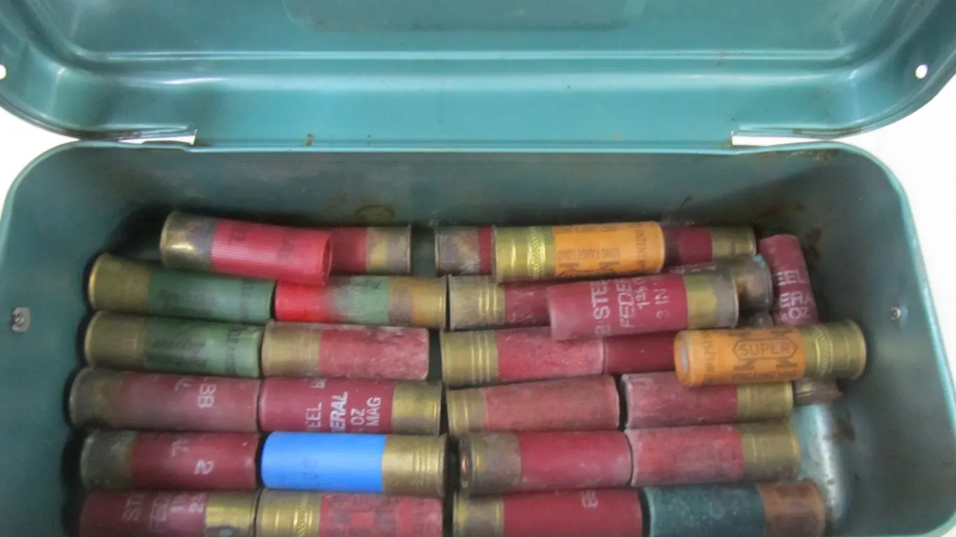 (28) Assorted 12ga Rounds
