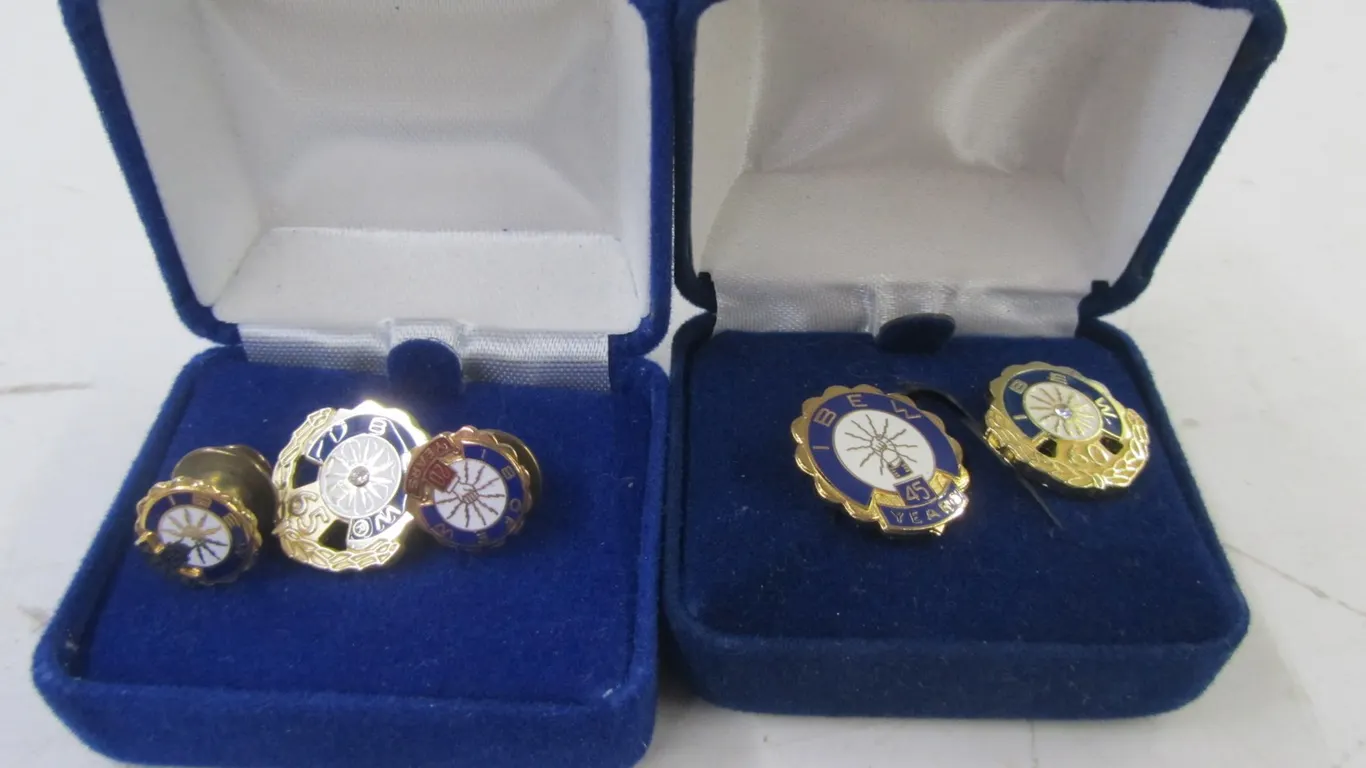 (5) IBEW Pins
