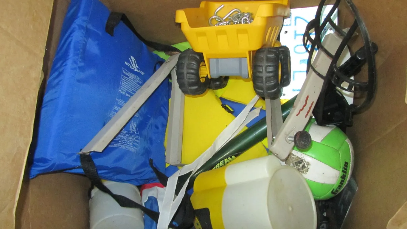 Lot Of Assorted Beach/Swimming Items