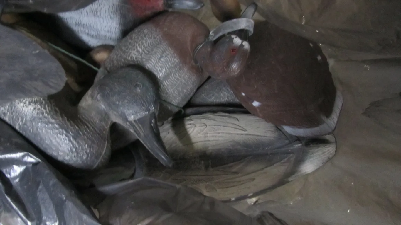 (10) Assorted Duck Decoys w/Weights