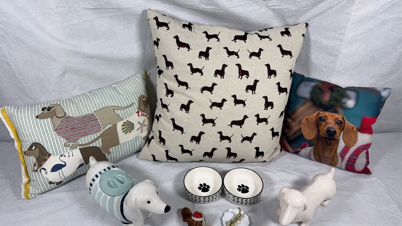 Dachshund Lovers Lot