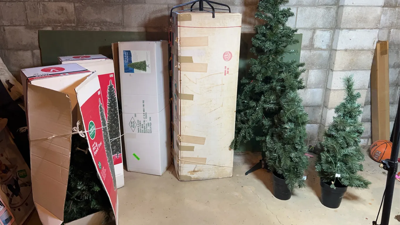 Christmas Trees