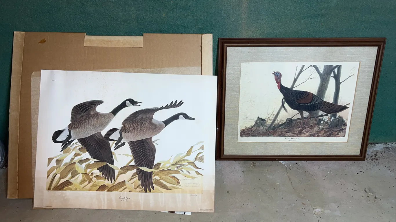 John Ruthven Prints
