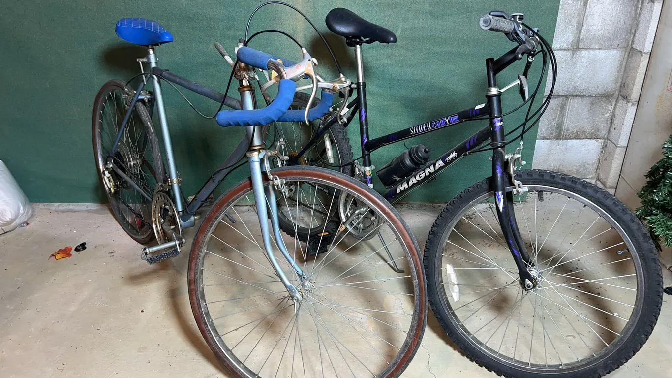 Magna Silver Canon & VTG Bike