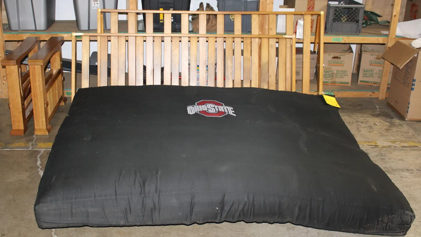 Lifestyle Solutions Futon W/ Ohio State Mattress