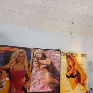 Vintage Pamela Anderson, Claudia Schiffer & Politically Correct Posters