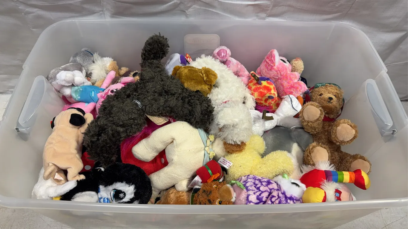 Large Tote of Plush Toys & Beanie Babies
