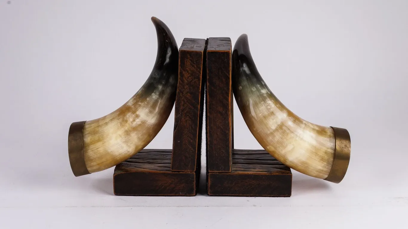 Pair of Vintage Horn Bookends