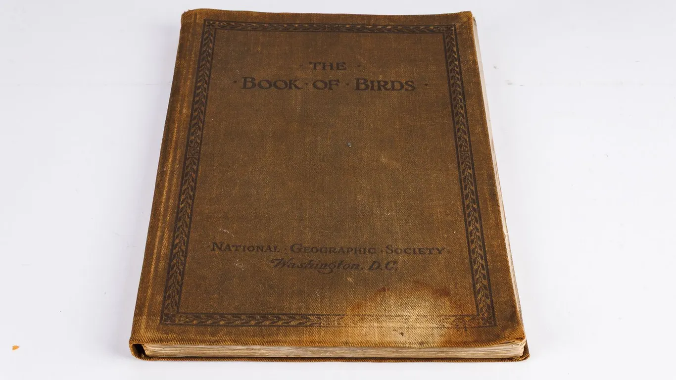 The Book of Birds (1918) – National Geographic Society