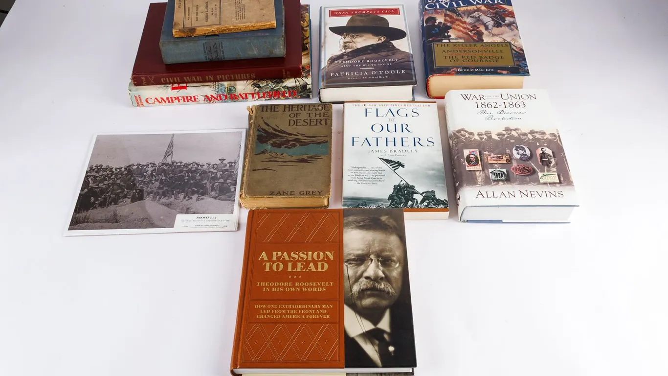 Collection of History Themed Books