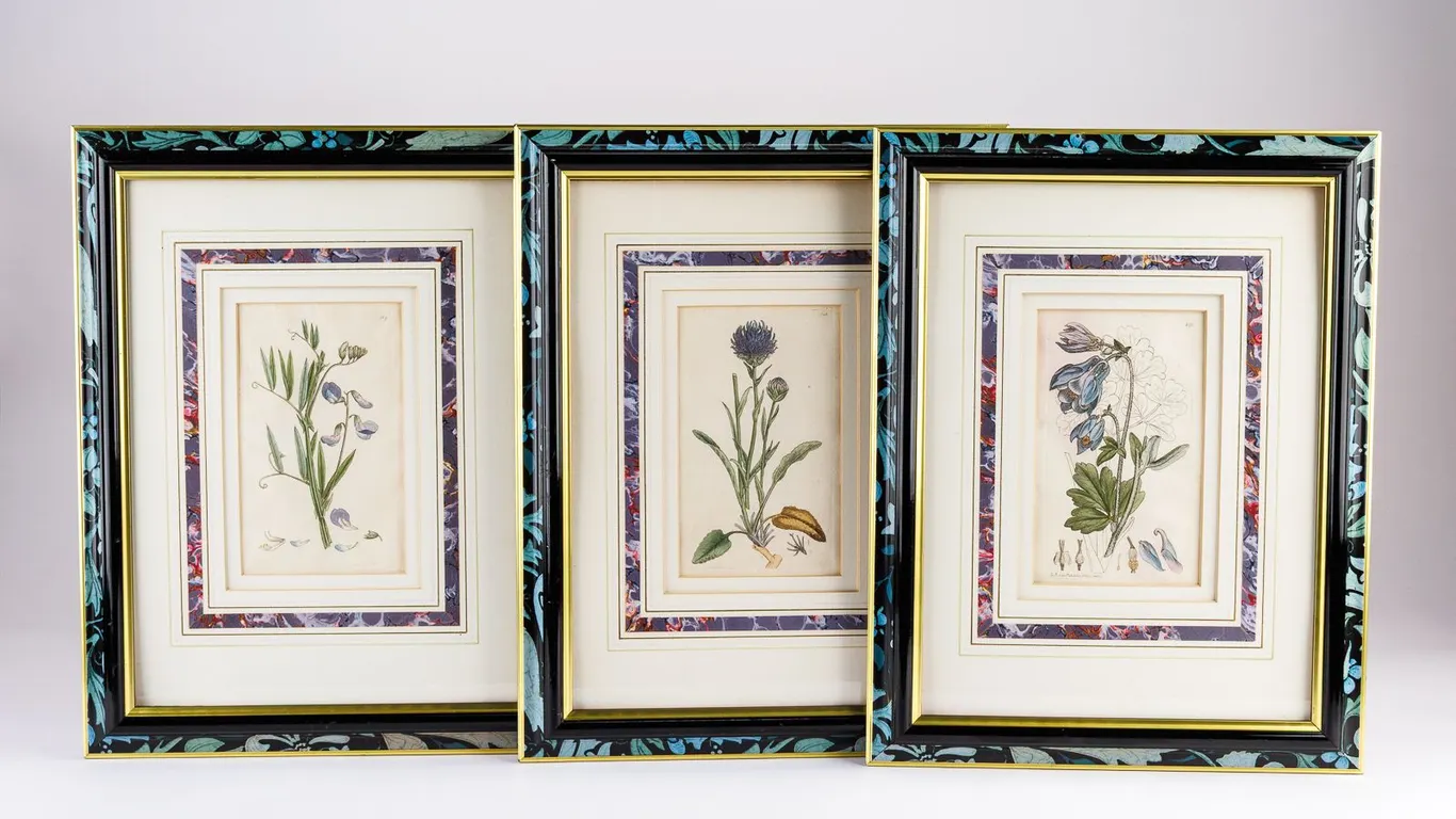 Set of 3 Framed Botanical Prints