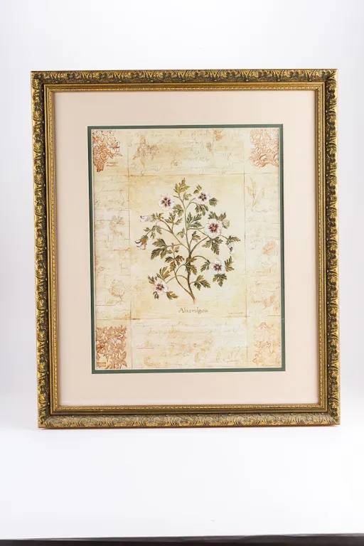 Two Framed Decorative Floral Prints