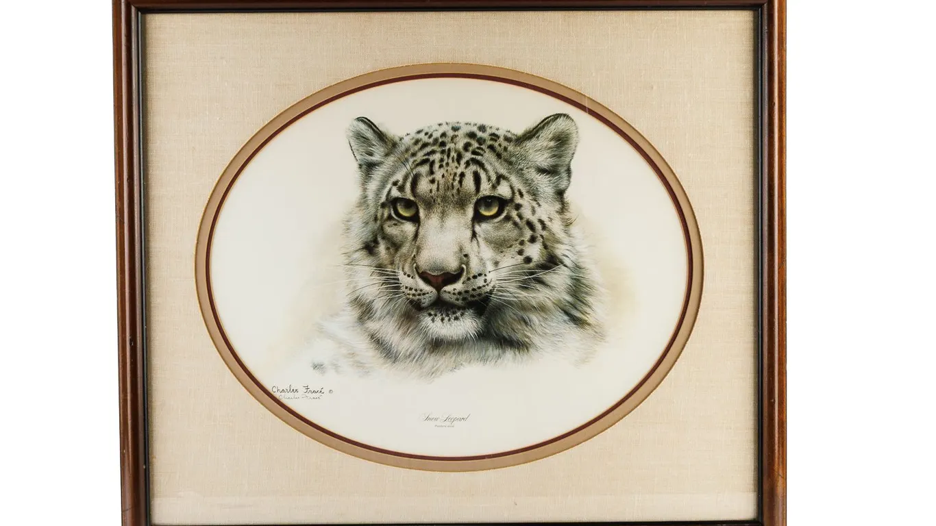 Framed Print - "Snow Leopard" by Charles Fracé (1926-2005)
