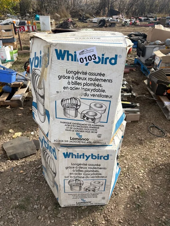Set of 2 Whirley Birds in Boxes