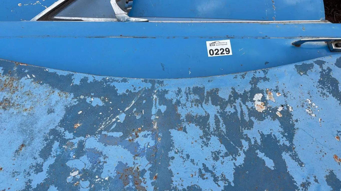 Lot 229